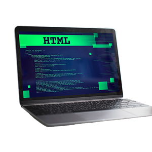 Software Services